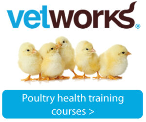poultry health and poultry farming training courses