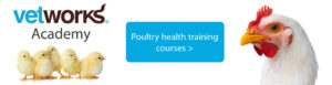 poultry health and poultry farming training course